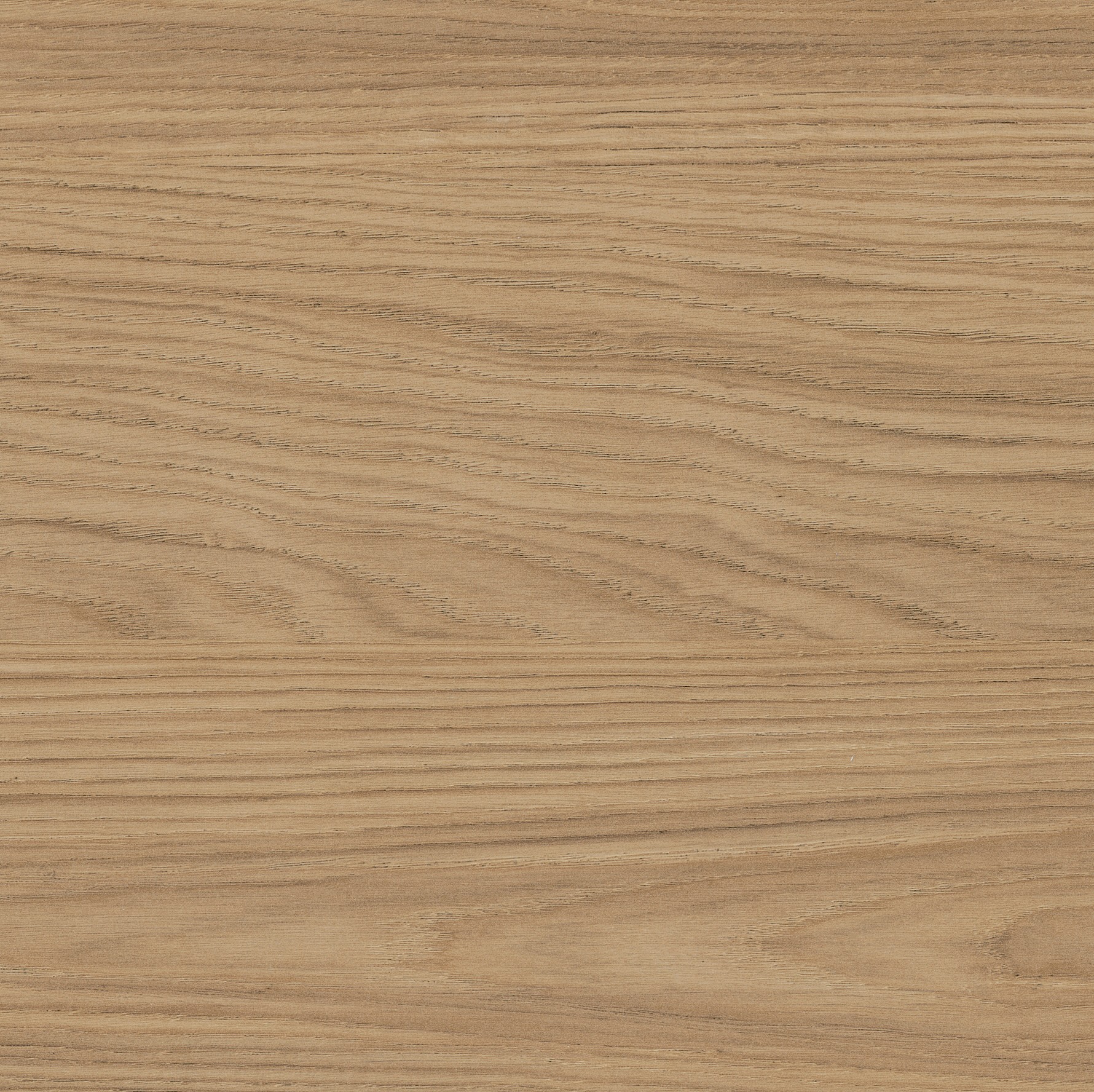 Küche Farbe Eiche Nordic